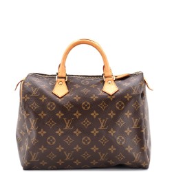 Speedy Handbag Monogram Canvas 30