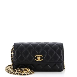 Mixed Chain Link CC Wallet on Chain Quilted Caviar Small