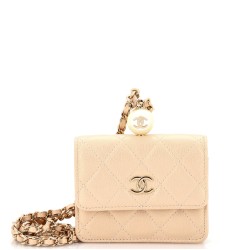 CC Pearl Coin Card Holder with Chain Quilted Iridescent Caviar