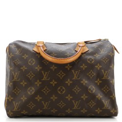 Speedy Handbag Monogram Canvas 30