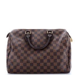 Speedy Handbag Damier 30