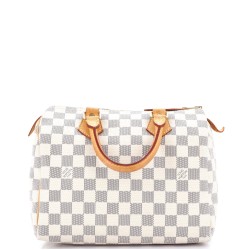 Speedy Handbag Damier 25
