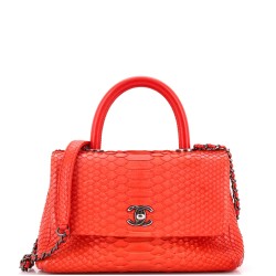 Coco Top Handle Bag Python Mini