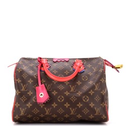 Speedy Handbag Limited Edition Totem Monogram Canvas with Leather 30