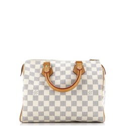 Speedy Handbag Damier 25