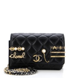Coco Clips Wallet on Chain Embellished Quilted Lambskin Mini