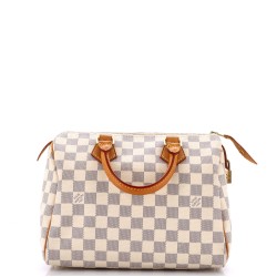 Speedy Handbag Damier 25