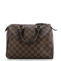 Speedy Handbag Damier 25