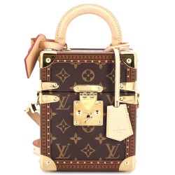 Camera Box Trunk Bag Monogram Canvas