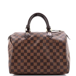 Speedy Handbag Damier 30