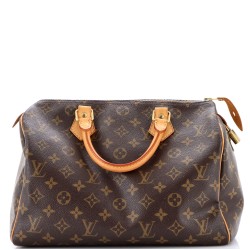 Speedy Handbag Monogram Canvas 30