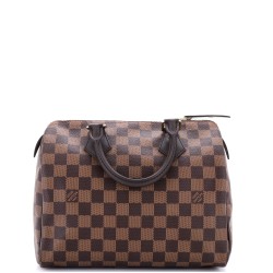 Speedy Handbag Damier 25