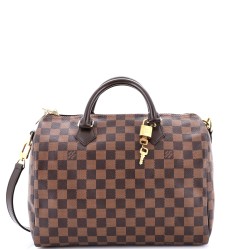 Speedy Bandouliere Bag Damier 30