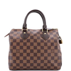 Speedy Handbag Damier 25