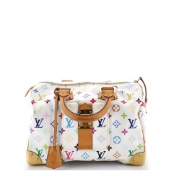 Speedy Handbag Monogram Multicolor 30