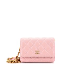 Pearl Samba Resin Wallet on Chain Quilted Calfskin