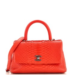 Coco Top Handle Bag Python Mini