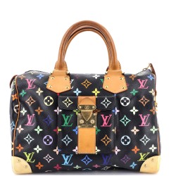 Speedy Handbag Monogram Multicolor 30