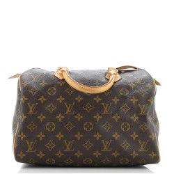 Speedy Handbag Monogram Canvas 30