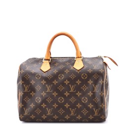 Speedy Handbag Monogram Canvas 30