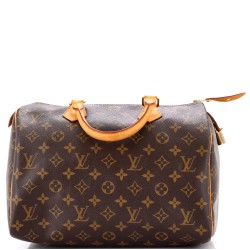 Speedy Handbag Monogram Canvas 30