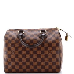 Speedy Handbag Damier 25