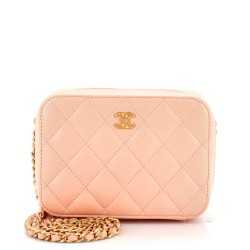 Pearl Crush Zip Around Vanity Case with Chain Quilted Lambskin Mini