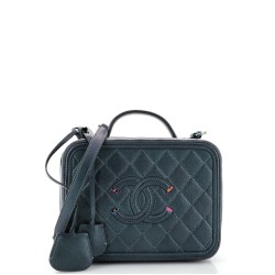 Filigree Vanity Case Quilted Iridescent Caviar Medium