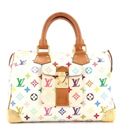 Speedy Handbag Monogram Multicolor 30