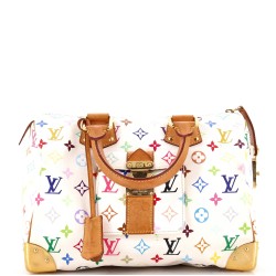 Speedy Handbag Monogram Multicolor 30