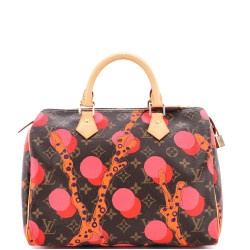 Speedy Handbag Limited Edition Monogram Ramages 30
