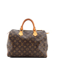 Speedy Handbag Monogram Canvas 30