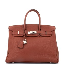 Birkin Handbag Sienne Togo with Palladium Hardware 35