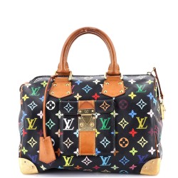 Speedy Handbag Monogram Multicolor 30