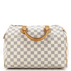 Speedy Handbag Damier 30