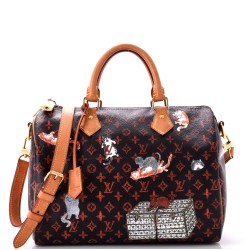 Speedy Bandouliere Bag Limited Edition Grace Coddington Catogram Canvas 30