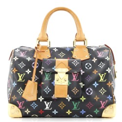 Speedy Handbag Monogram Multicolor 30