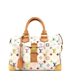 Speedy Handbag Monogram Multicolor 30