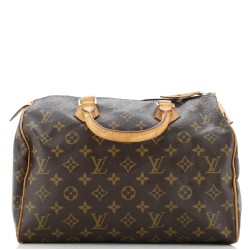 Speedy Handbag Monogram Canvas 30