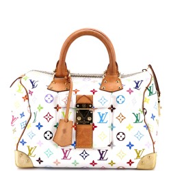 Speedy Handbag Monogram Multicolor 30