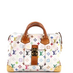 Speedy Handbag Monogram Multicolor 30
