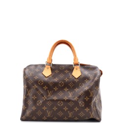 Speedy Handbag Monogram Canvas 30