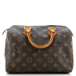 Speedy Handbag Monogram Canvas 25