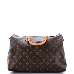 Speedy Handbag Monogram Canvas 35