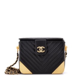 Rock the Corner Minaudiere Chevron Calfskin