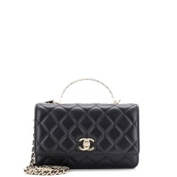 Pick Me Up Logo Handle Wallet on Chain Quilted Lambskin