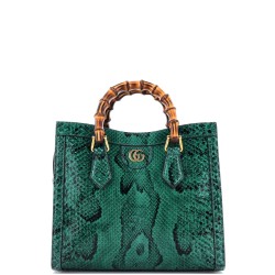 Diana NM Bamboo Handle Tote Python Small
