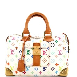 Speedy Handbag Monogram Multicolor 30