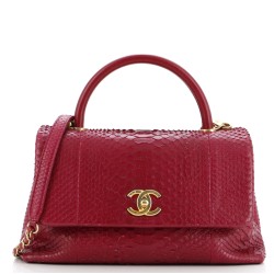 Coco Top Handle Bag Python Medium