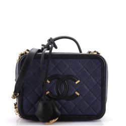 Filigree Vanity Case Quilted Iridescent Caviar Medium